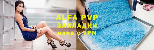 хмурый Няндома