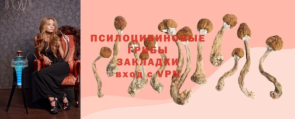 герыч Новокубанск