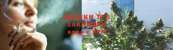 хмурый Няндома