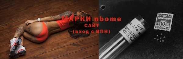 хмурый Няндома