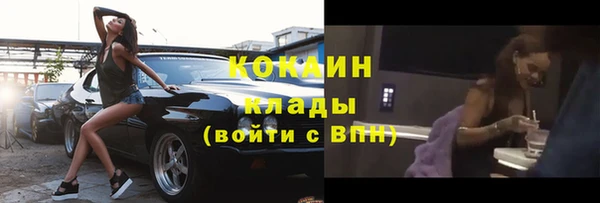 хмурый Няндома
