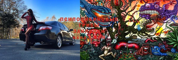 хмурый Няндома