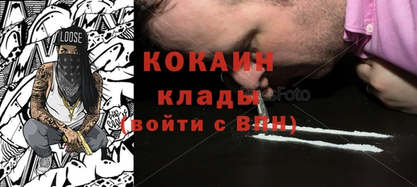 шишки Ветлуга