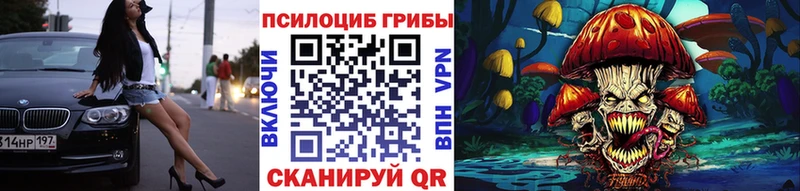 где купить наркотик  Зубцов  Галлюциногенные грибы Psilocybine cubensis 